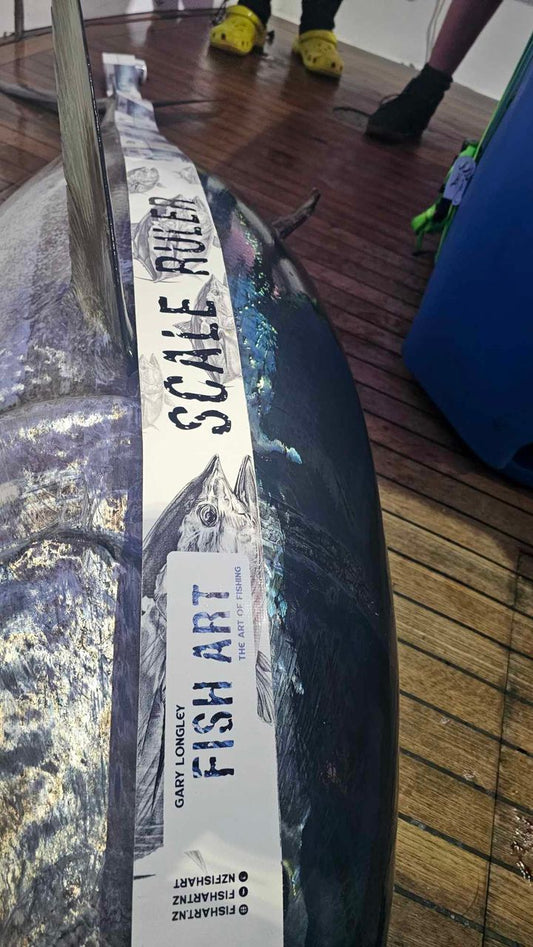 Fish Art Scale Rulers