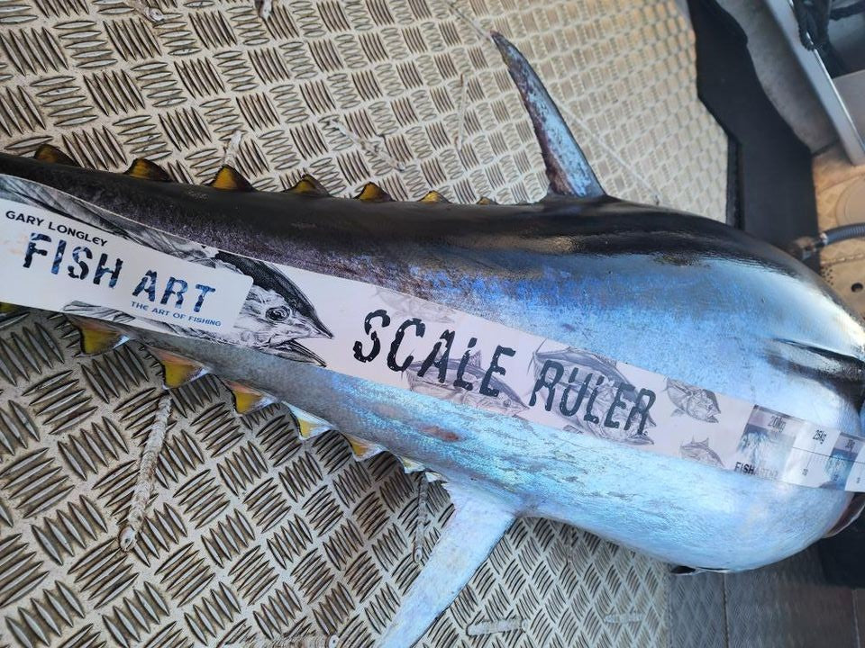 Fish Art Scale Rulers