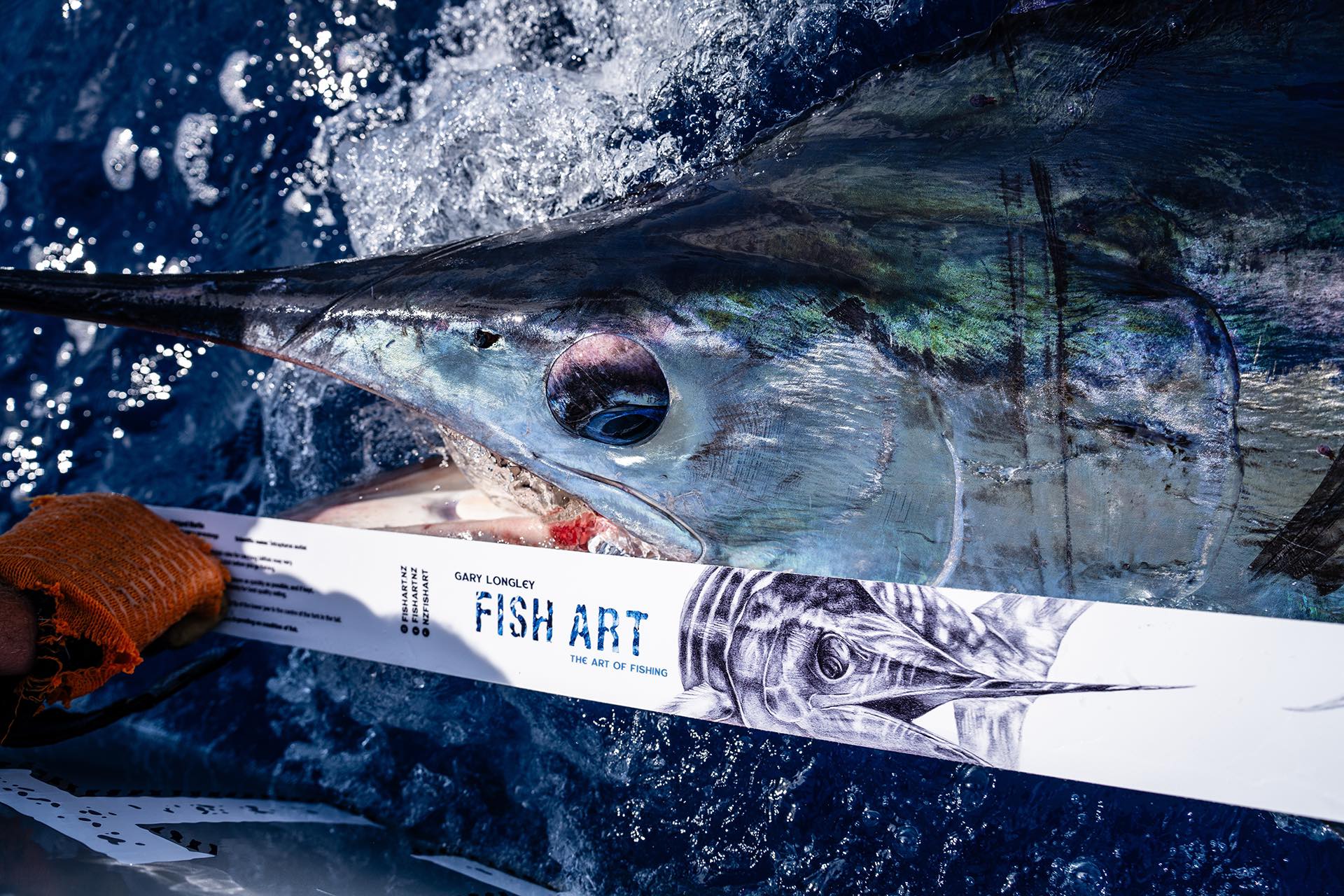 Fish Art Scale Rulers | Dan Govier Fishing New Zealand – Dan Govier ...