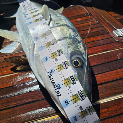 Fish Art Scale Rulers